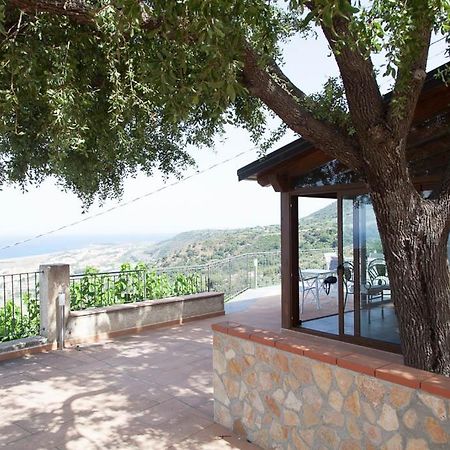 B&B Le Rose Del Tirreno Falerna Buitenkant foto