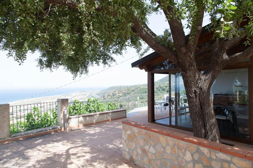 B&B Le Rose Del Tirreno Falerna Buitenkant foto